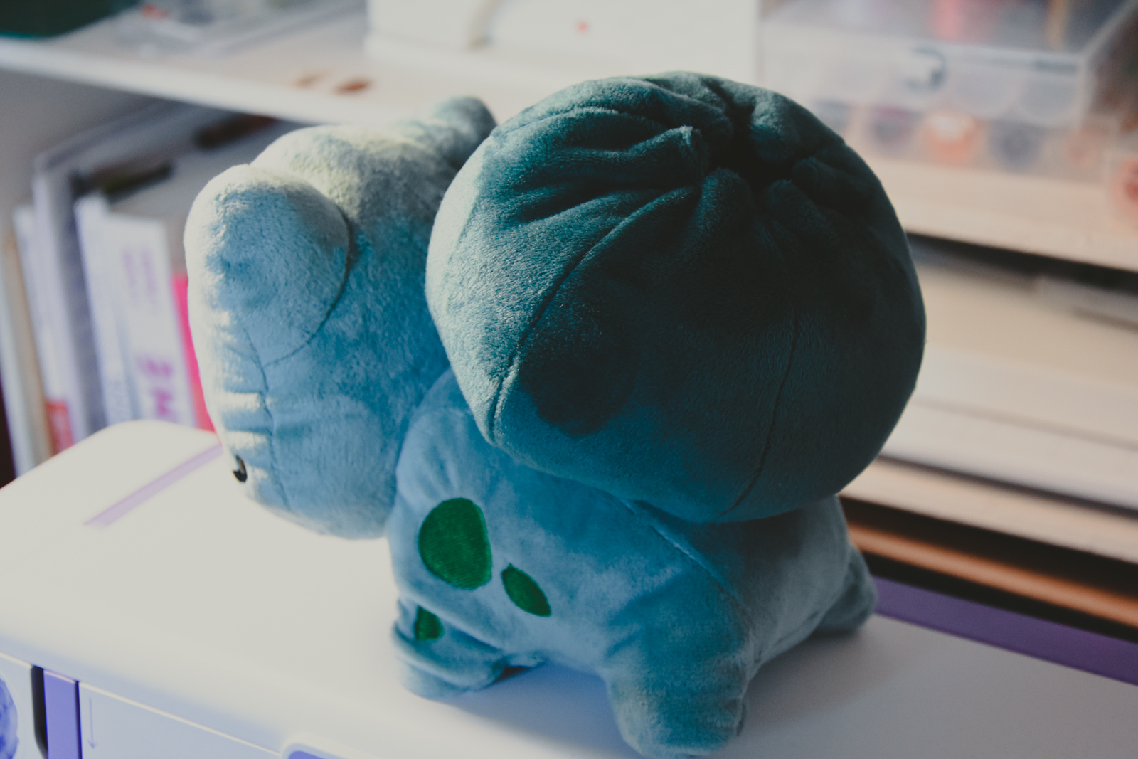 Bulbizare choly knight-4