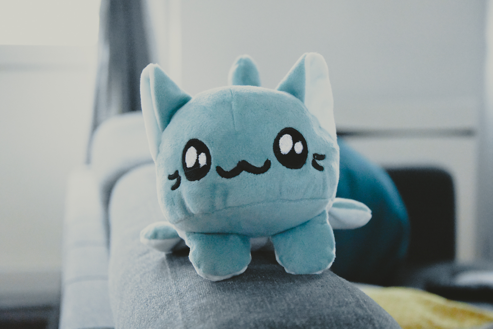 kitty bean menthe-02