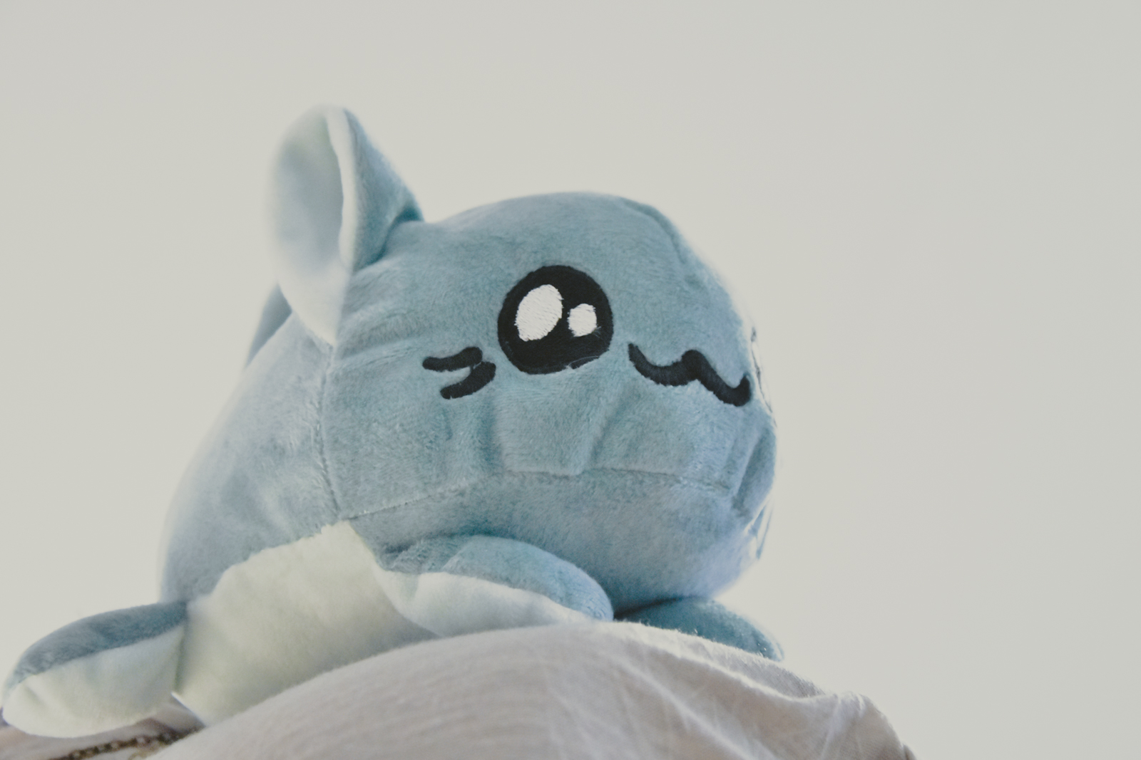 kitty bean menthe-03