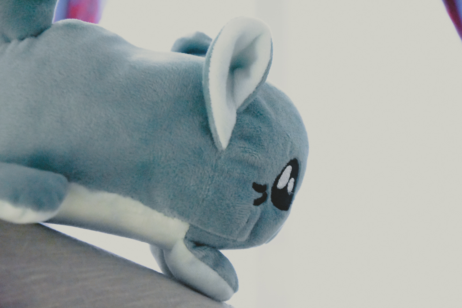 kitty bean menthe-04