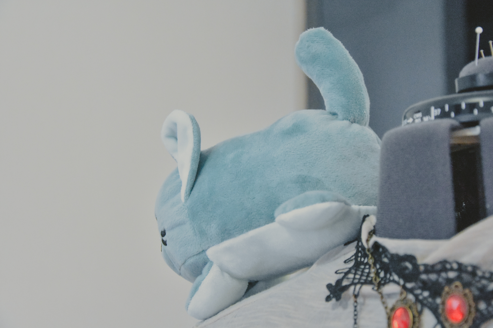 kitty bean menthe-07