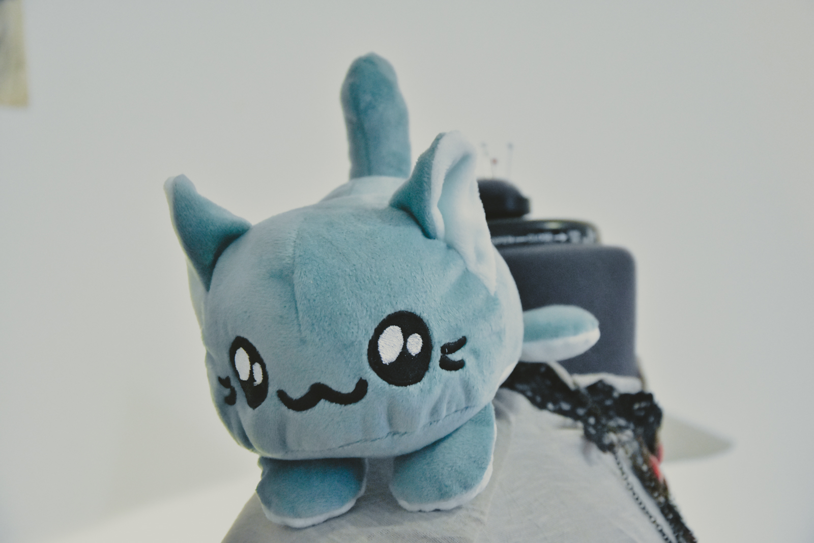 kitty bean menthe-09