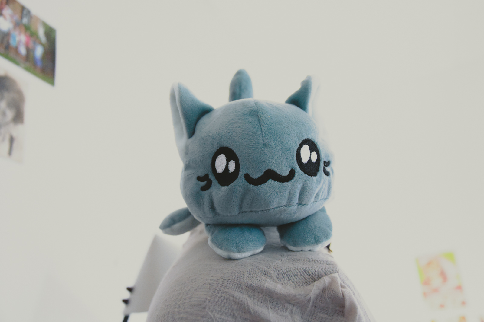 kitty bean menthe-10