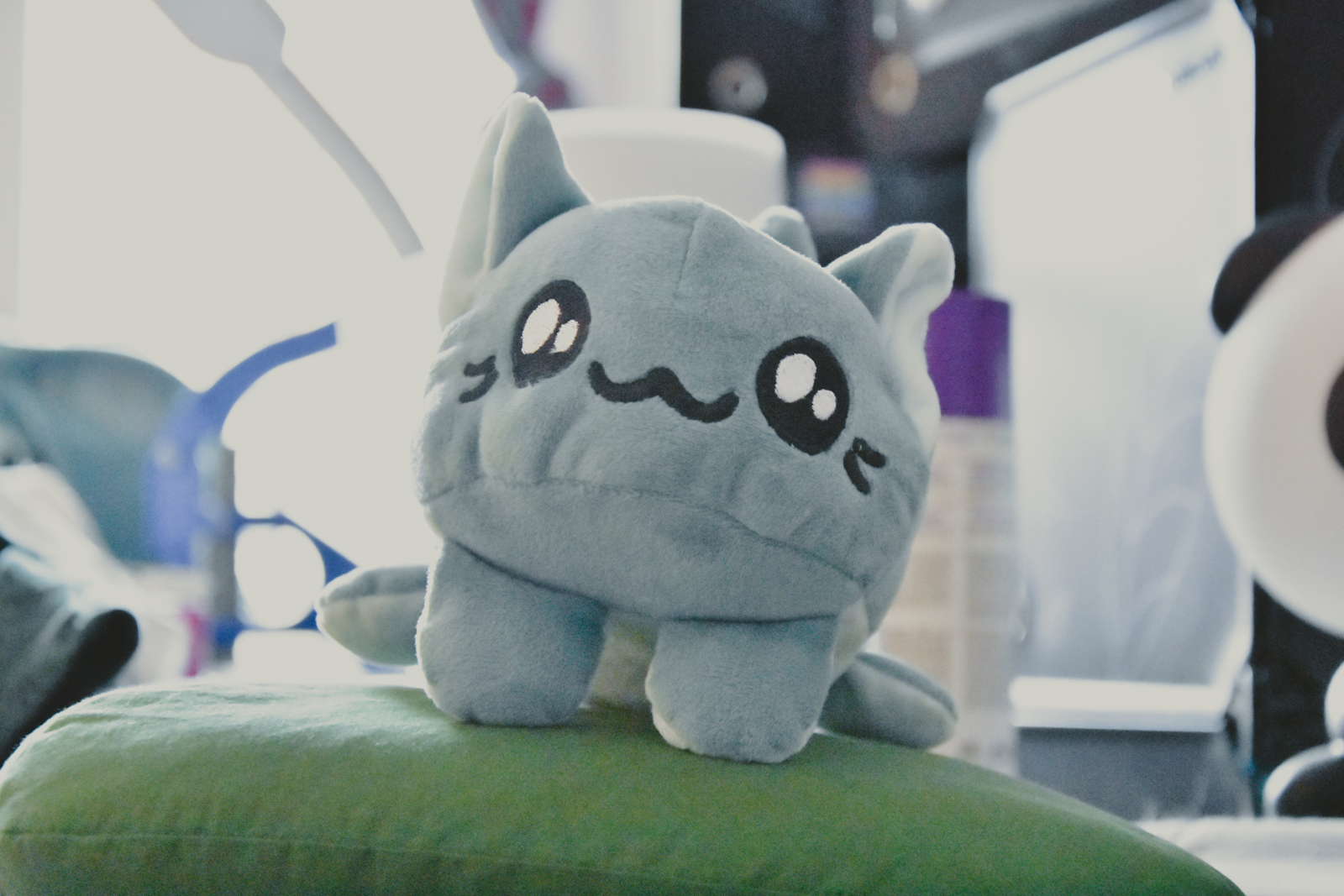 kitty bean menthe-11