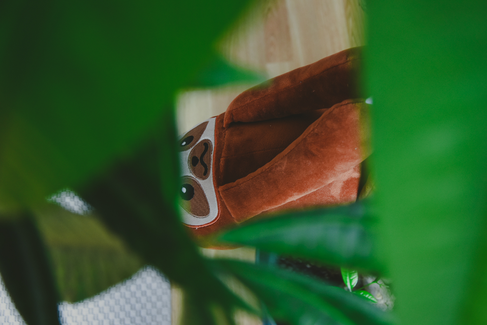 Choly Knight Paresseux-3