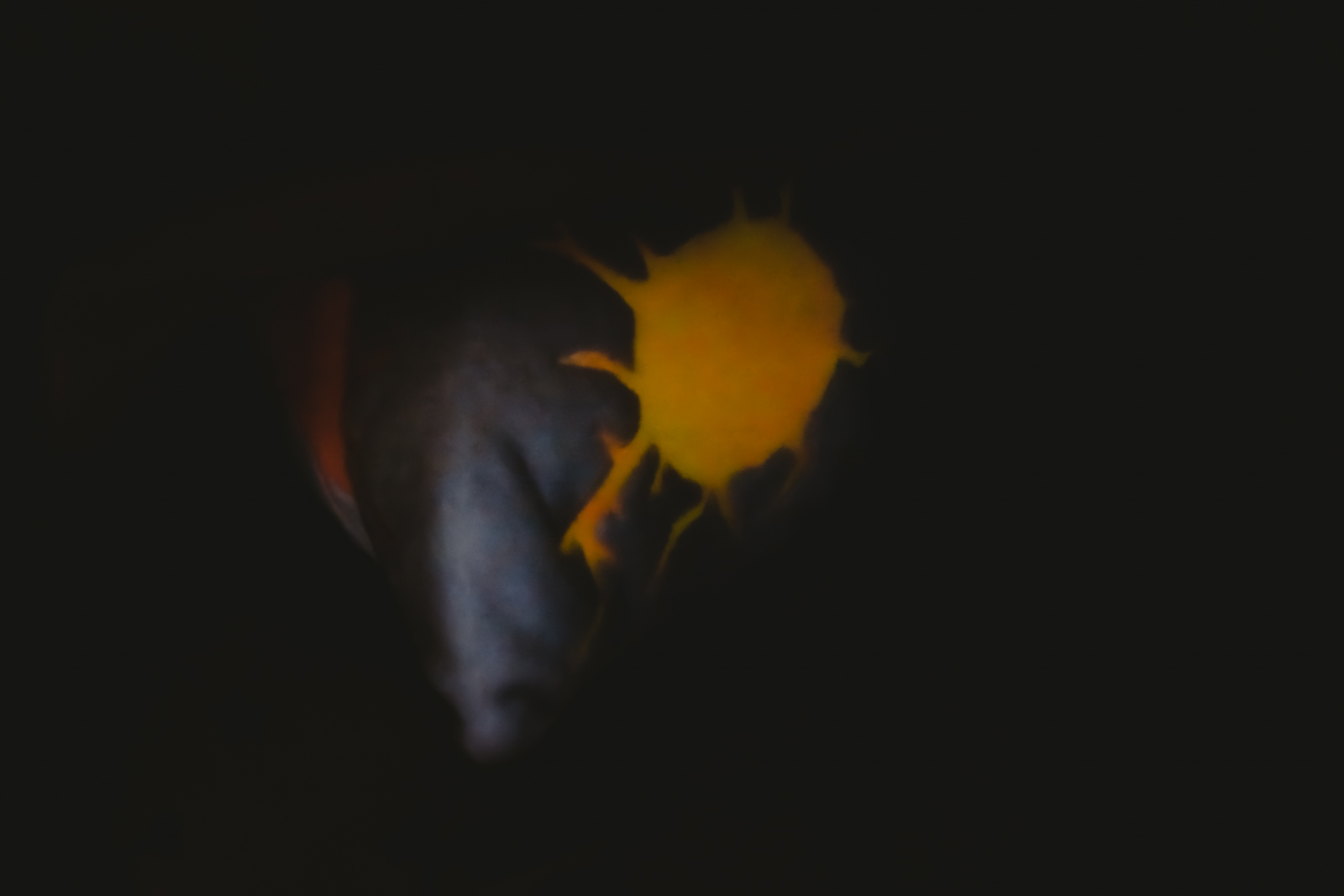 Medecin de la peste A -03