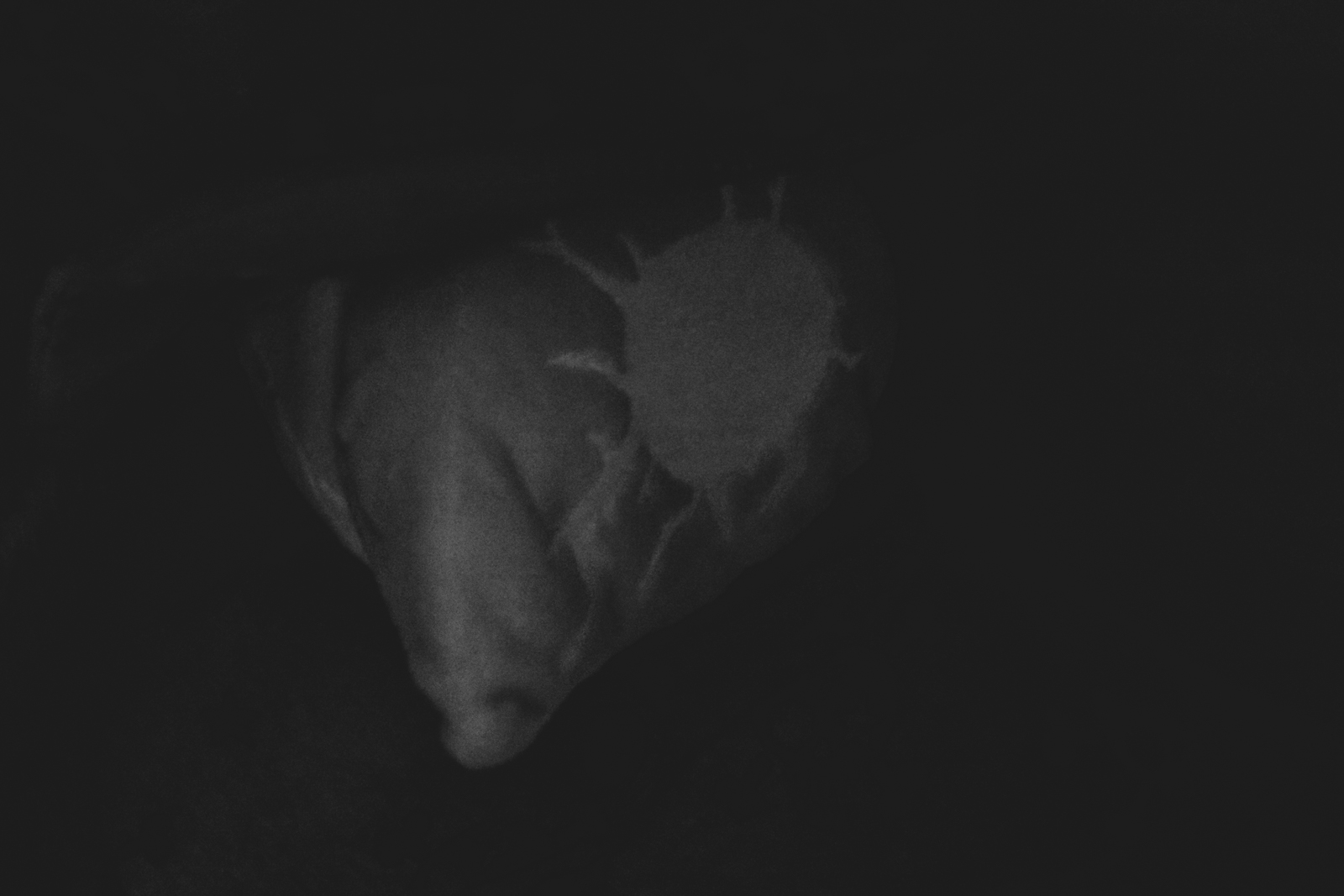 Medecin de la peste A -04