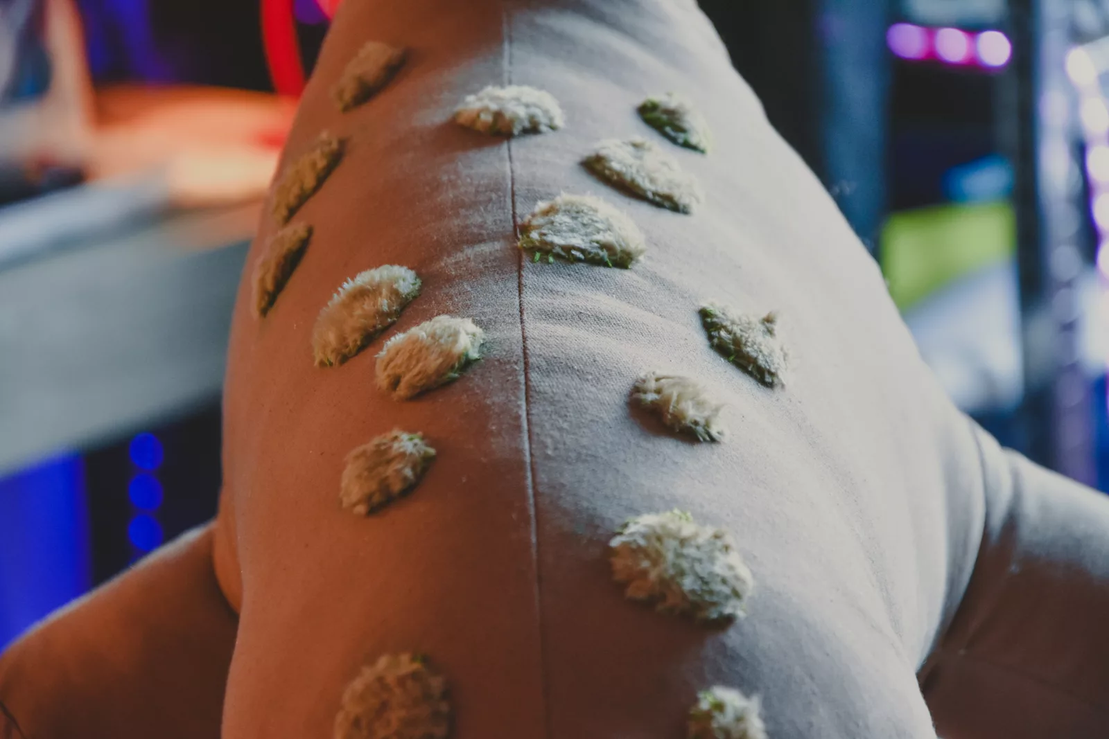 Dinosaure peluche - dinosaur plush-01